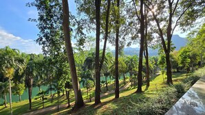 Ein Park mit hohen Bäumen, einem Weg und einem Gewässer im Hintergrund.
