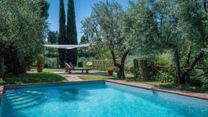 Ein Swimmingpool mit Liegestuhl und Hängesessel, umgeben von Bäumen und einem Garten.