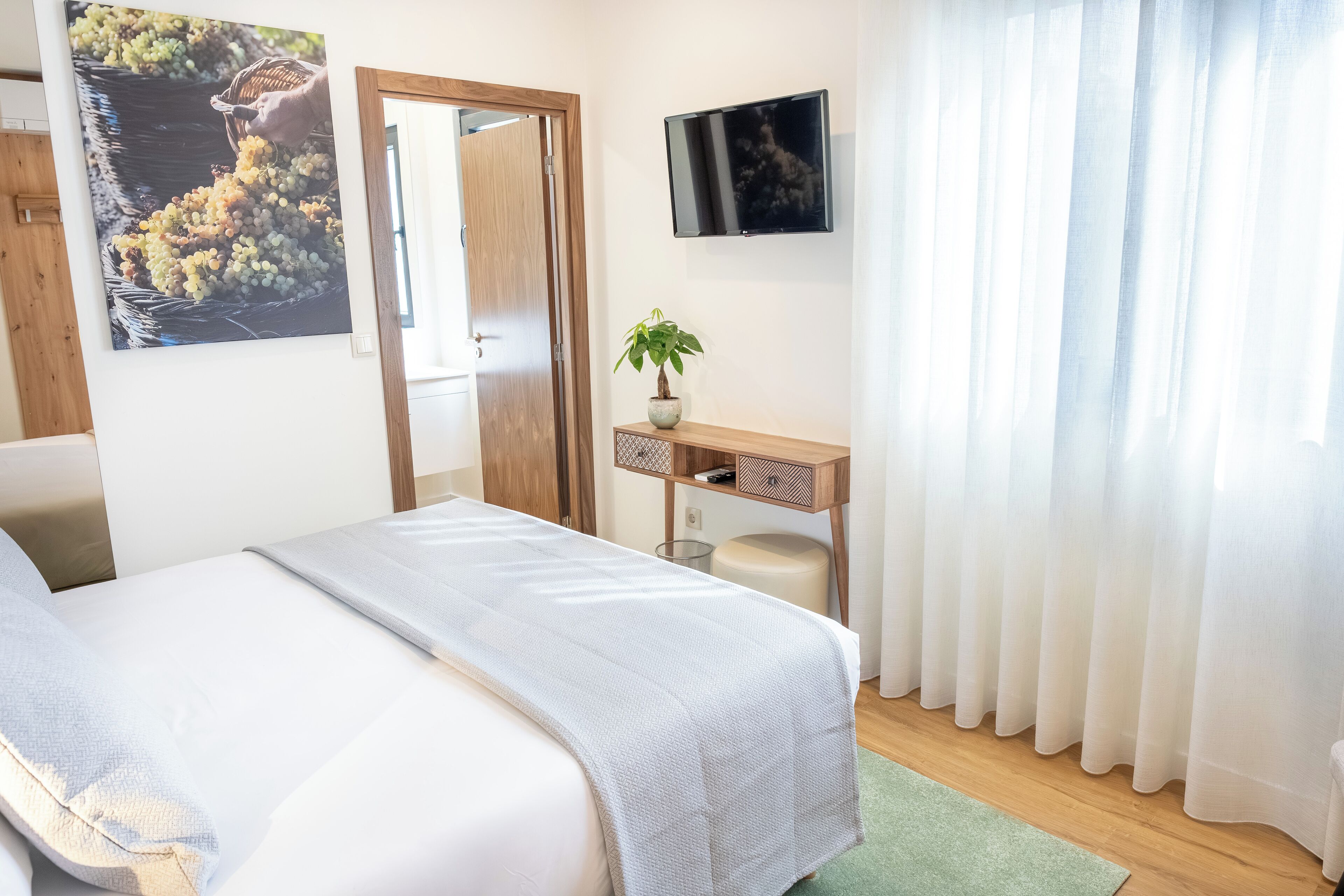 Une chambre à coucher avec un lit, une télévision, une plante et une porte en bois.