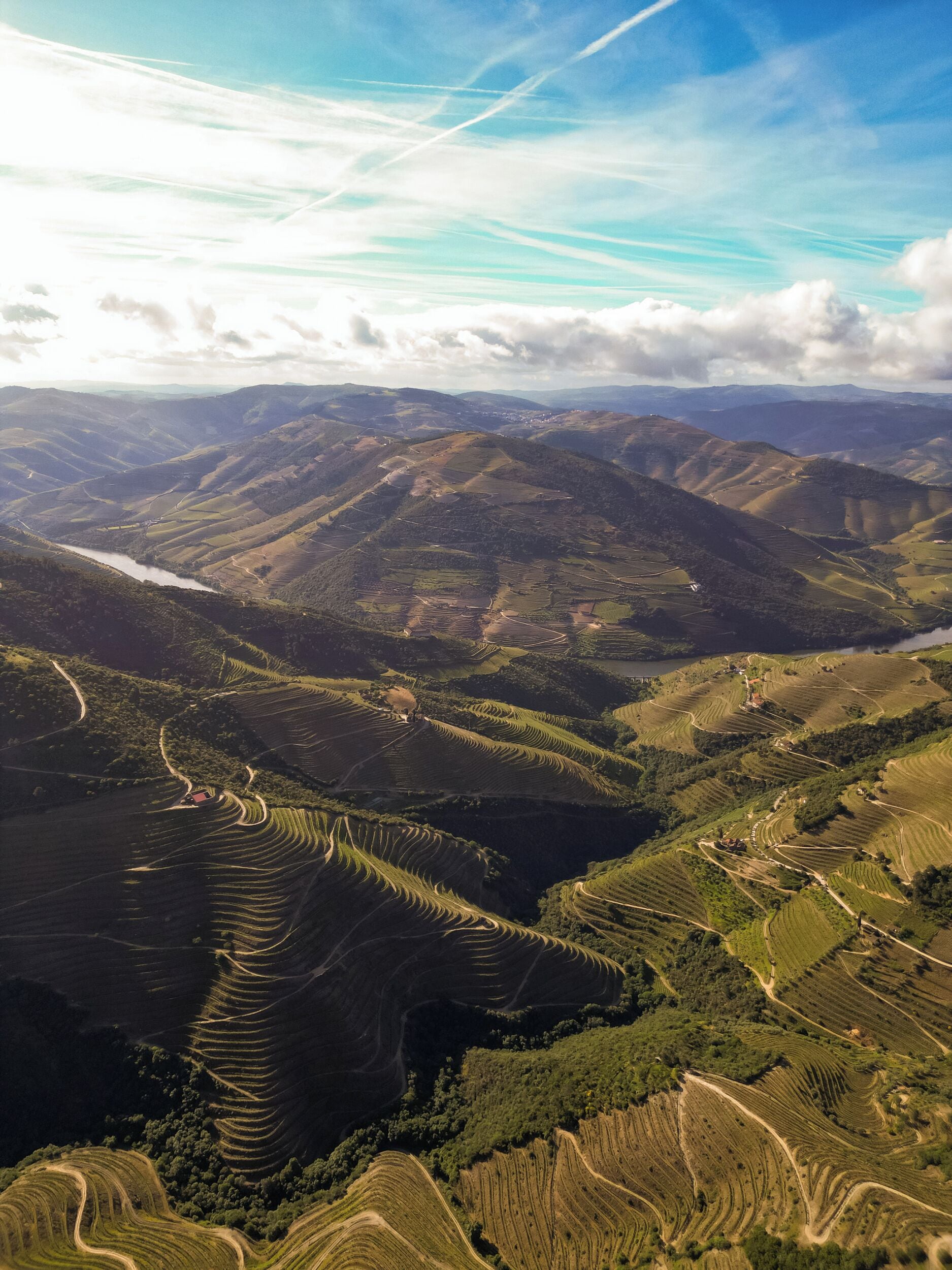 A panoramic view of terraced vineyards with winding paths and a lake.