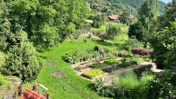 A lush garden with various plants and a stone pathway. - Vineyard cottage Kovačnica (Semic)
