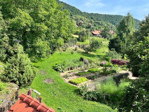 Vineyard cottage Kovačnica