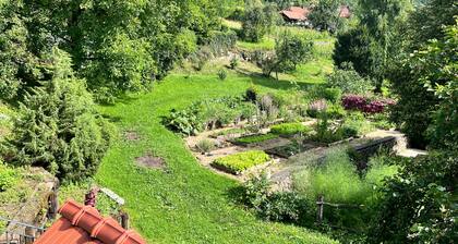 Vineyard cottage KovaÄnica