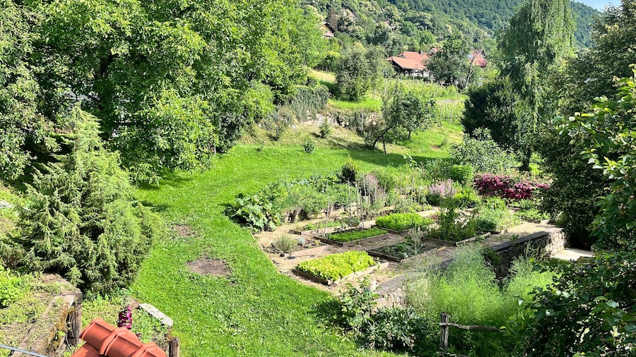 Vineyard cottage Kovačnica