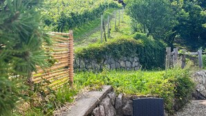 A rustic outdoor seating area with a checkered tablecloth, stone walls, and a view of a vineyard in the background. - Vineyard cottage Kovačnica (Semic)