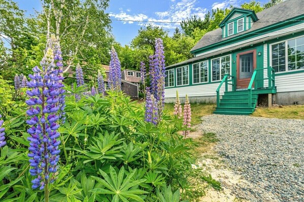 Une maison avec une porte d’entrée verte, une allée en gravier et des fleurs de lupin violettes dans le jardin.