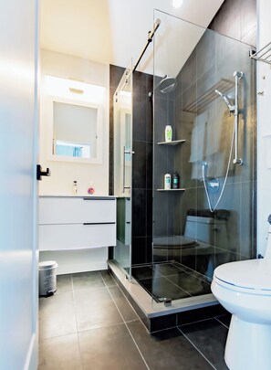 Douche, séchoir à cheveux, serviettes fournies, savon