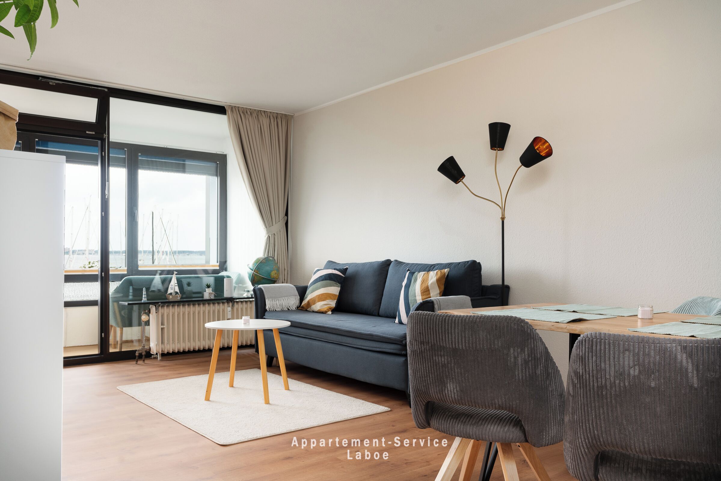 Televisión y libros 