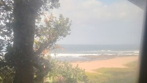 Udsigt til en strand fra en balkon, med et træ og et hegn i forgrunden.