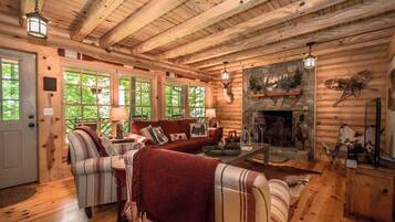 Télévision, cheminée, espaces bureaux