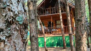 Family Bungalow | Minibar, in-room safe, desk, free WiFi