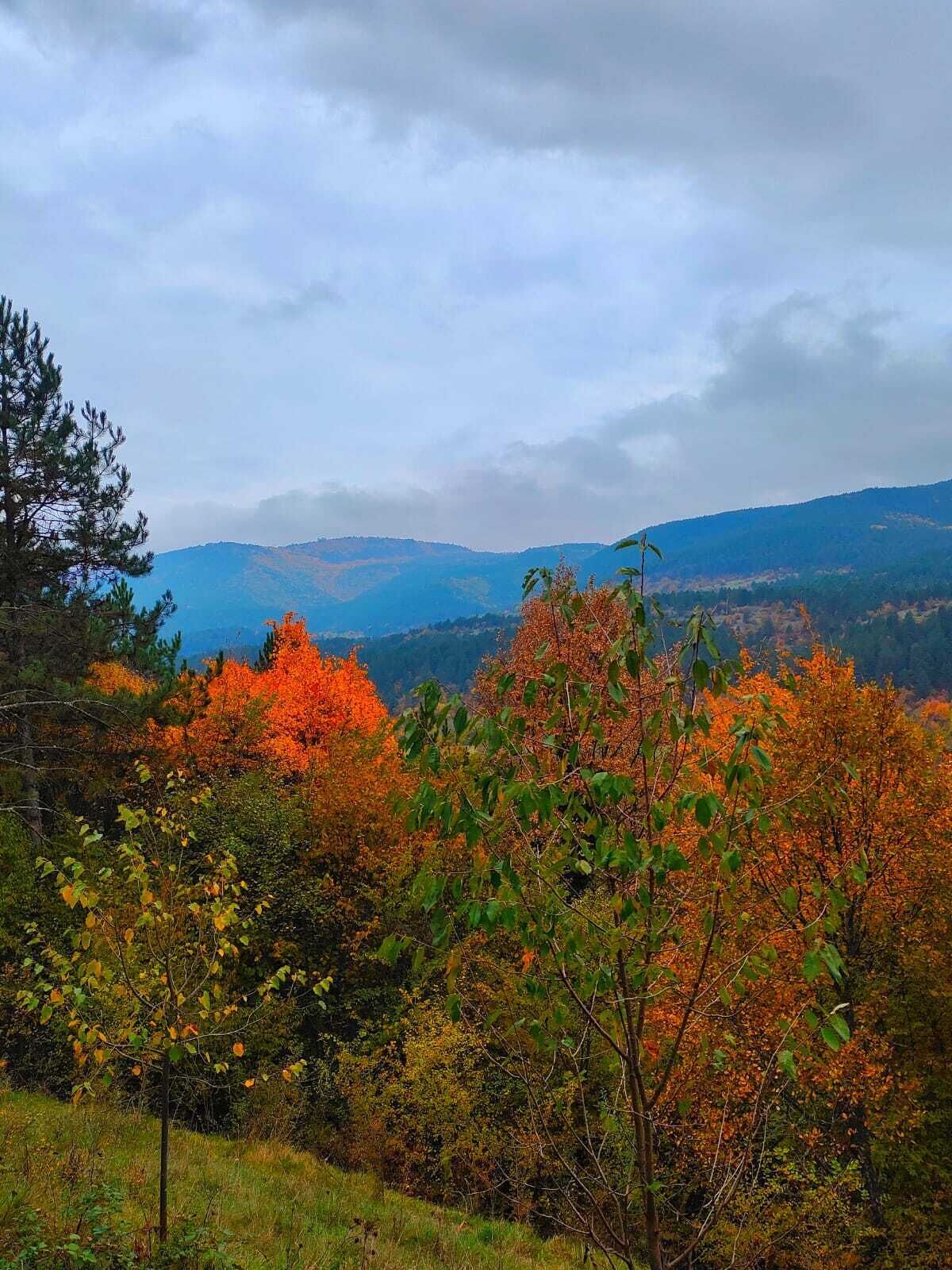 A landscape with autumn foliage and distant hills.