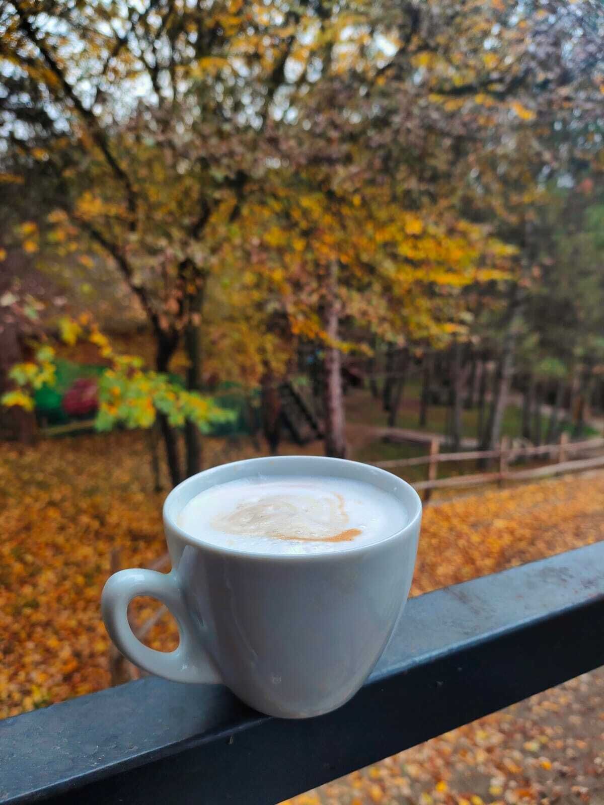 A white mug with a frothy beverage on a metal railing.