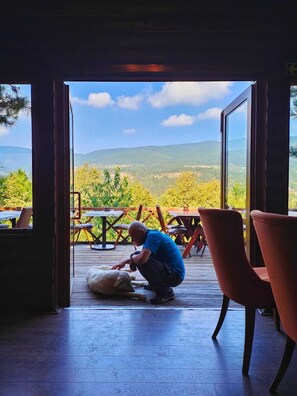 Restaurant - ÇAMPINARI DOĞA EVLERİ & RESTAURANT (Mengen)