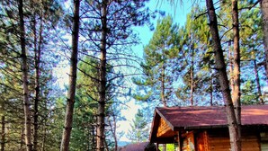 Eine rustikale Holzhütte mit einer Holzterrasse und einer Veranda, umgeben von hohen Kiefern.