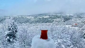 Minibar, in-room safe, desk, free WiFi