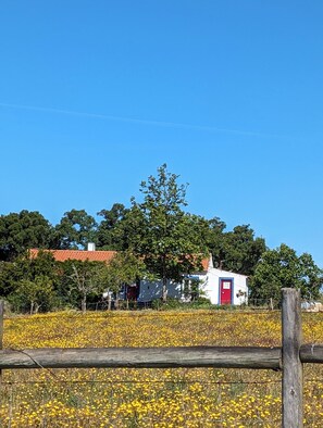 المنطقة المحيطة بالمنشأة