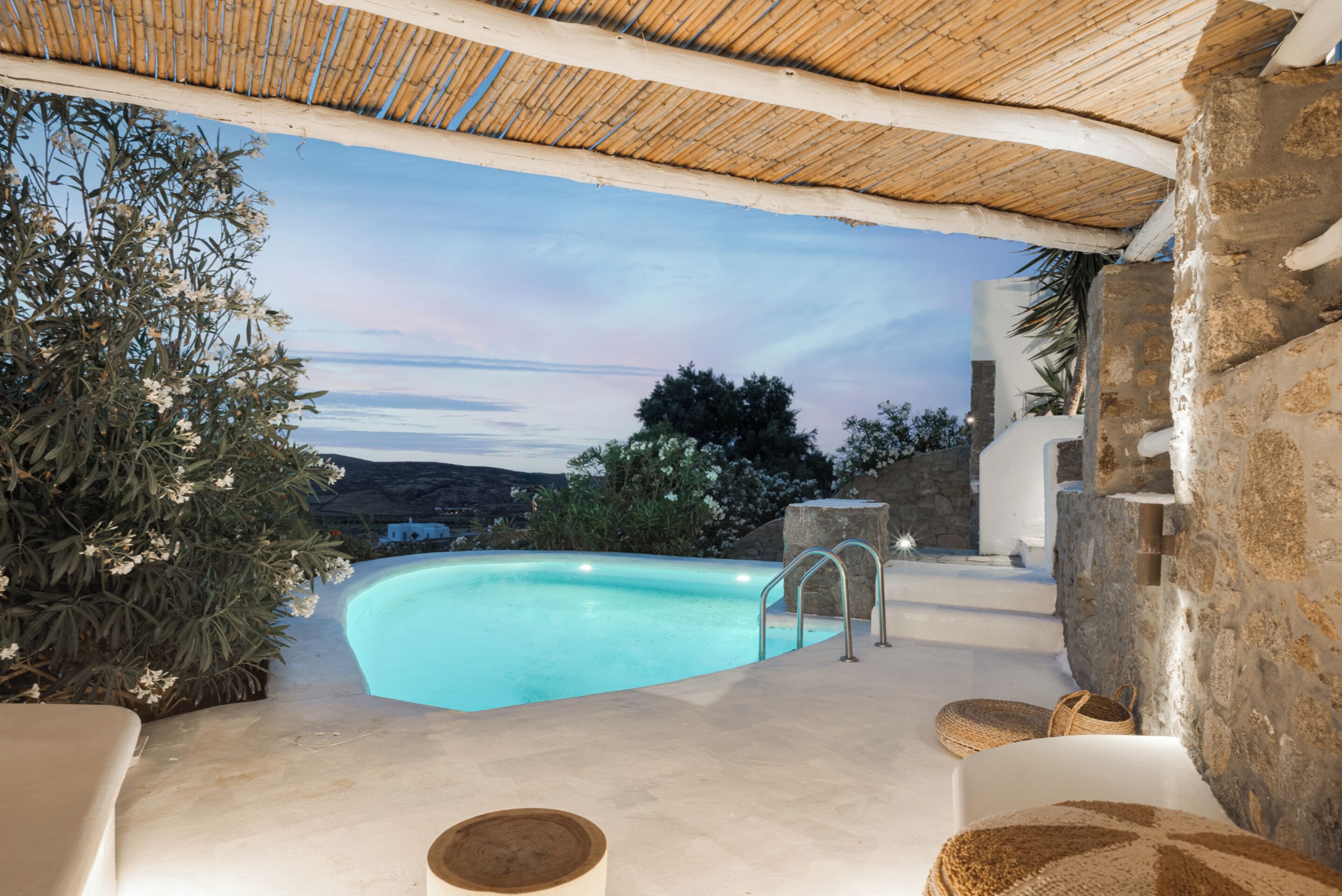 Lea Villa 3 Mykonos | Private pool