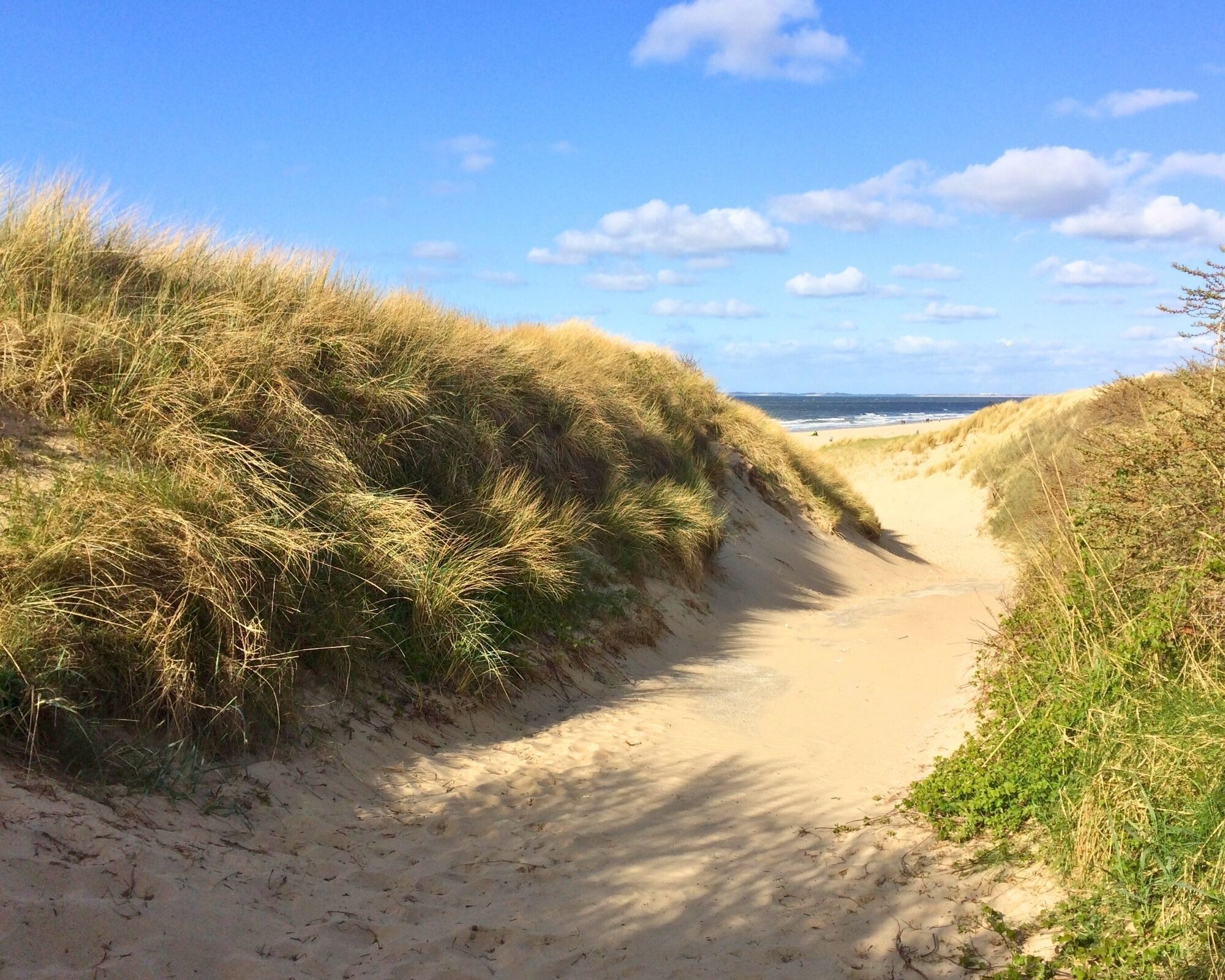 Vlak bij het strand