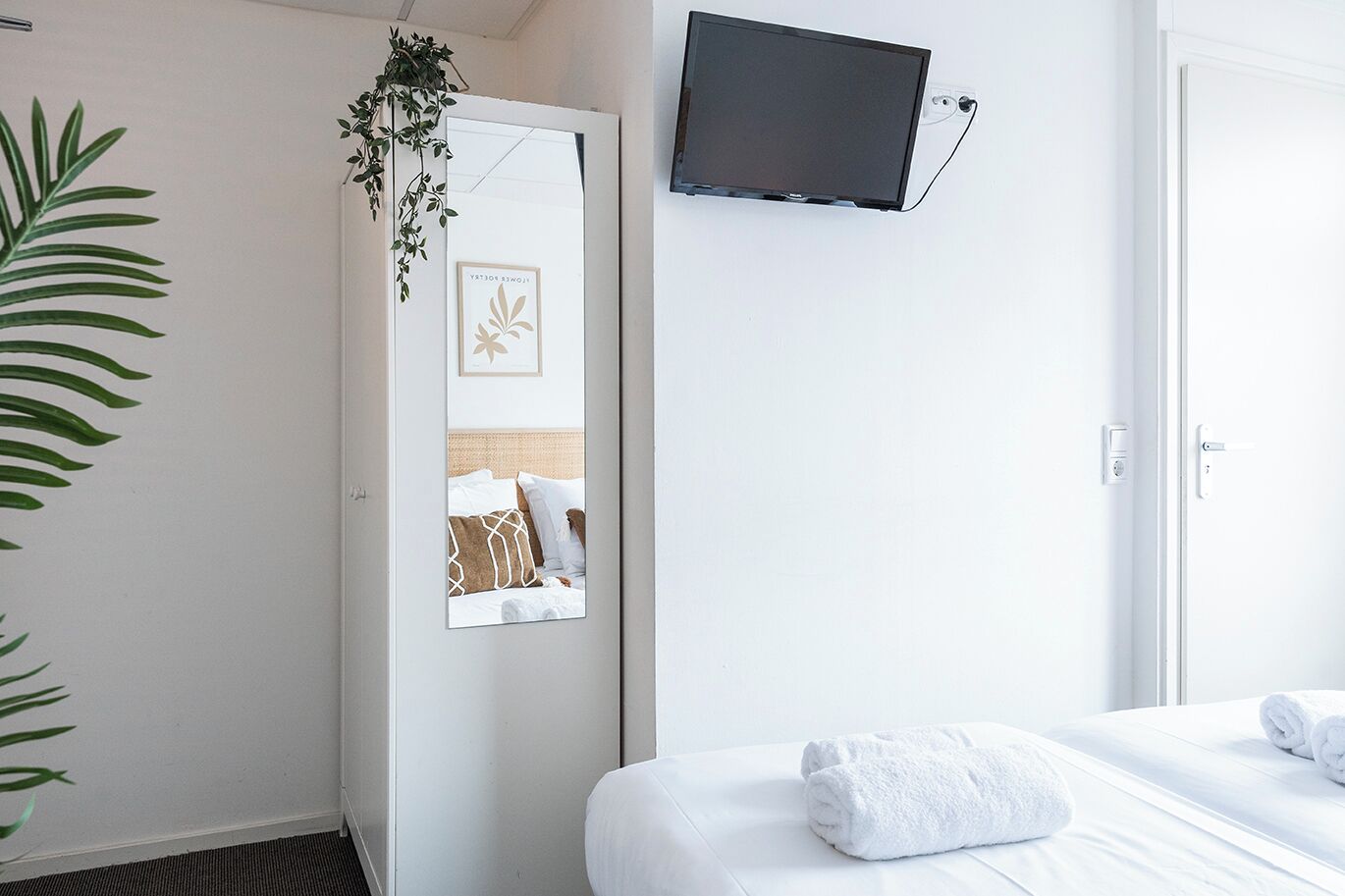 Habitación de hotel con cama, televisión montada en la pared, puerta con espejo y una planta.