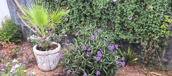 A 10 Minutos de Sevilla. Chalet Independiente, con Piscina y muy Tranquilo