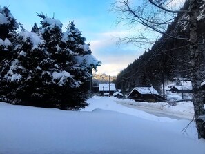 Property grounds - Cozy chalet with free shuttle access in Morzine (Morzine)