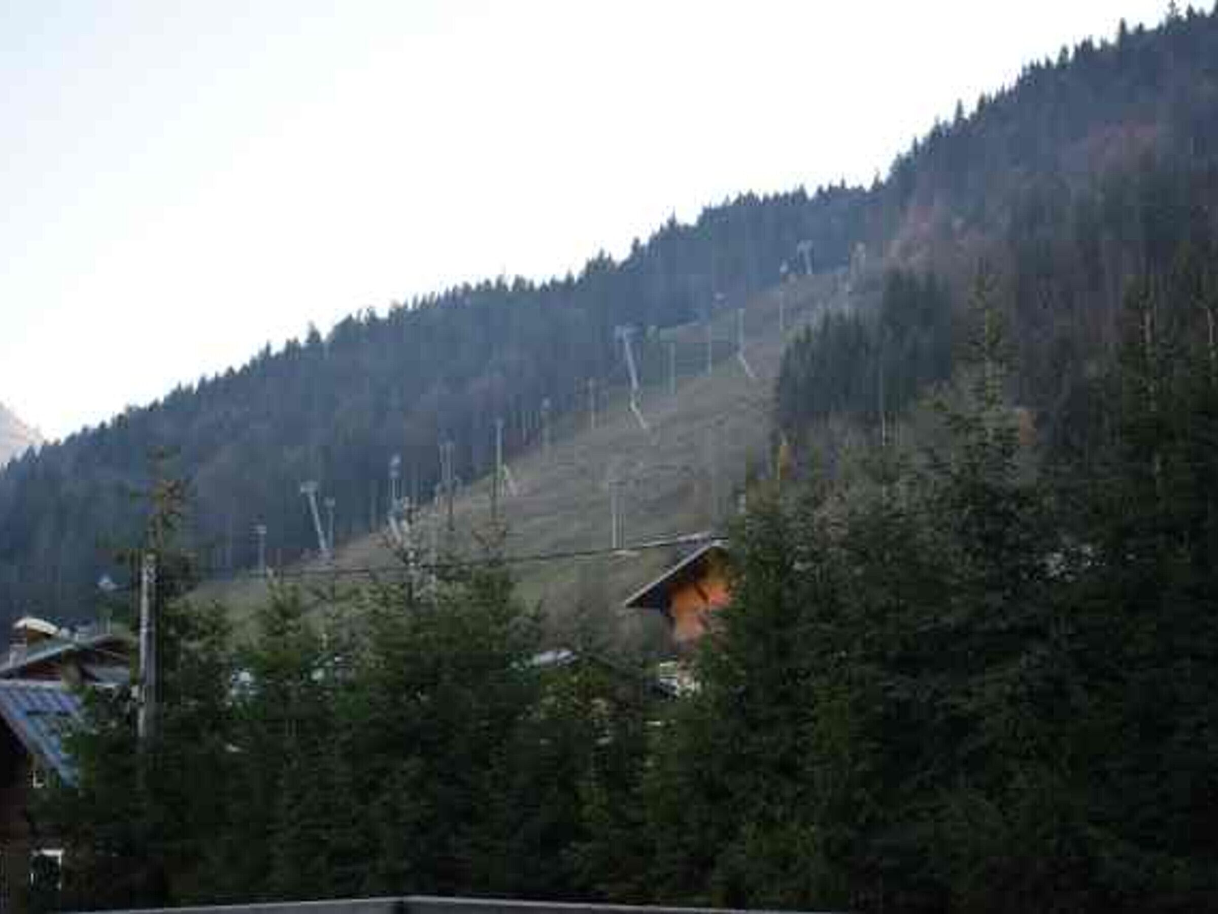 Un chalet de montagne avec un toit en pente, entouré d’une forêt dense et adossé à une colline boisée.