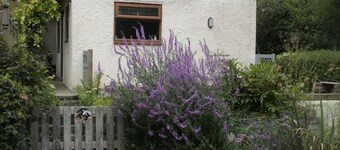 Cottage with beautiful views - Dog friendly (cosy and tranquil)