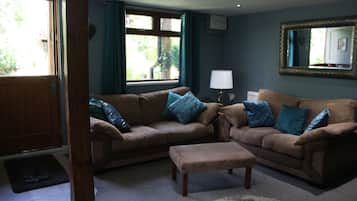 Smart TV, fireplace, DVD player, books