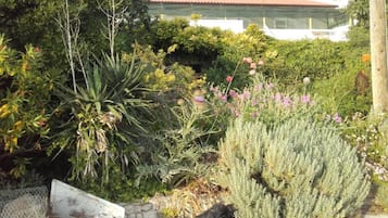 Apartamento (Guest House Green Corner Supetarska D) | Exterior