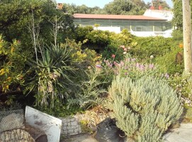 Apartment (Guest House Green Corner Supetarska D) | Exterior