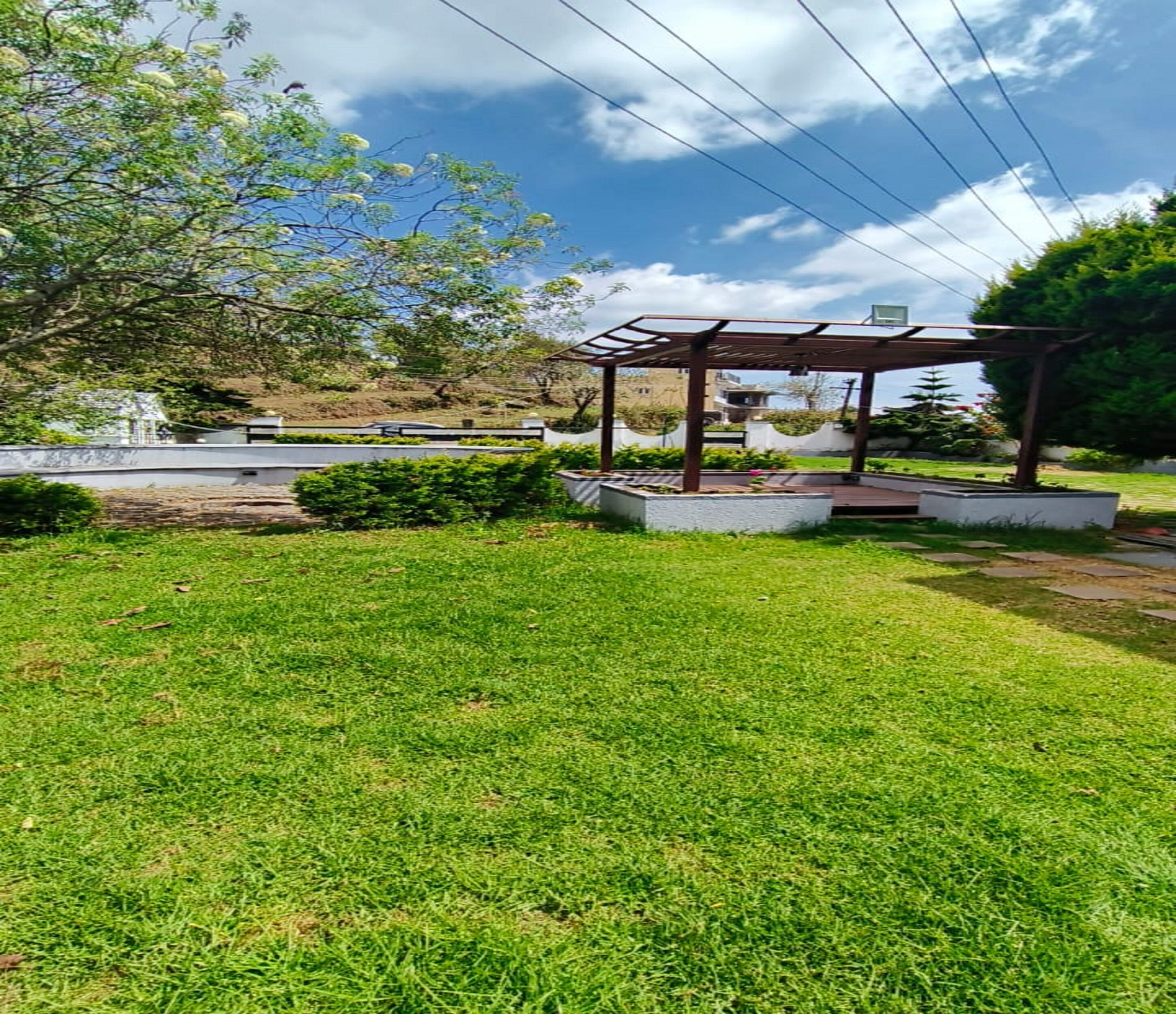 Pemandangan taman