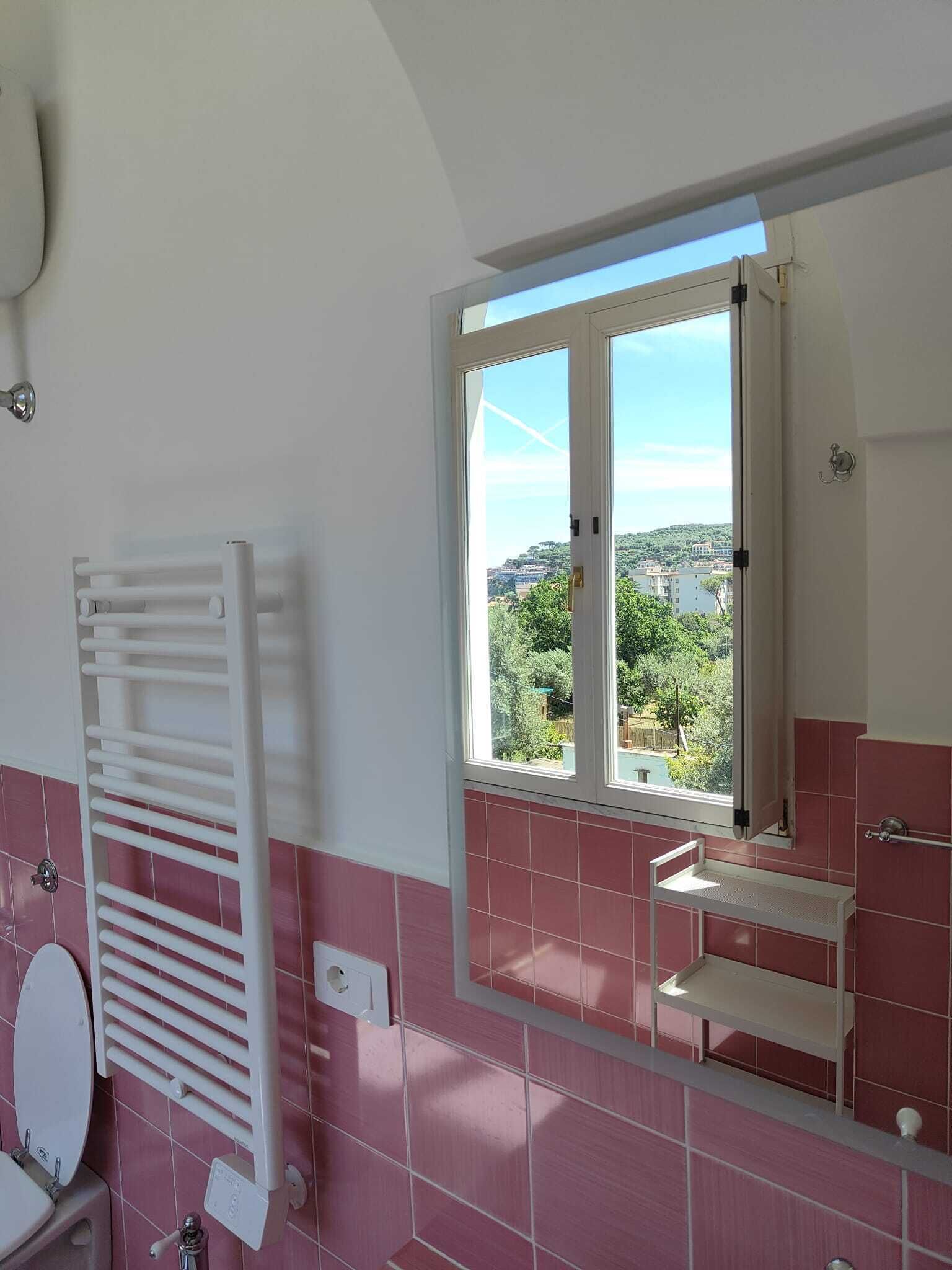 A bathroom with a view of a green landscape through a window.