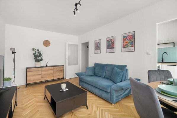 Fernseher, Arbeitsbereiche