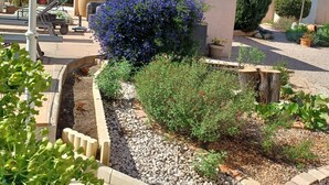 Un jardín con diversas plantas, una estructura pequeña y un árbol alto.