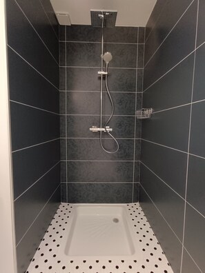 Shower, hair dryer, towels, toilet paper