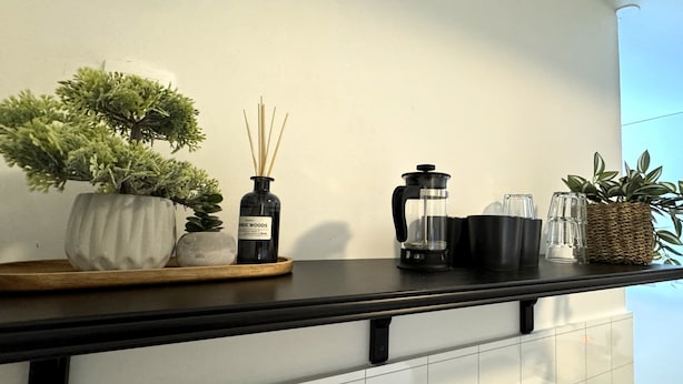 Una encimera de cocina con una planta en maceta, un difusor de cañas, una cafetera y una jarra de vidrio.