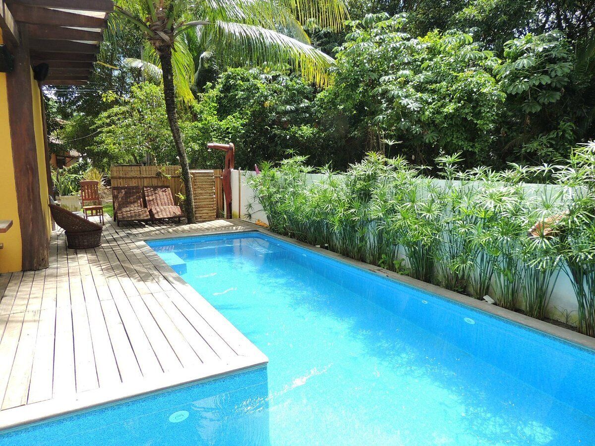 A swimming pool with a wooden deck, surrounded by lush greenery and a wooden fence.