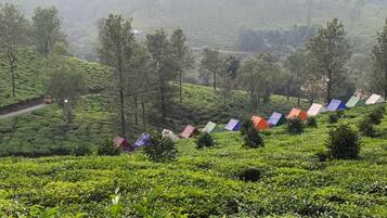 Overnatningsstedets område