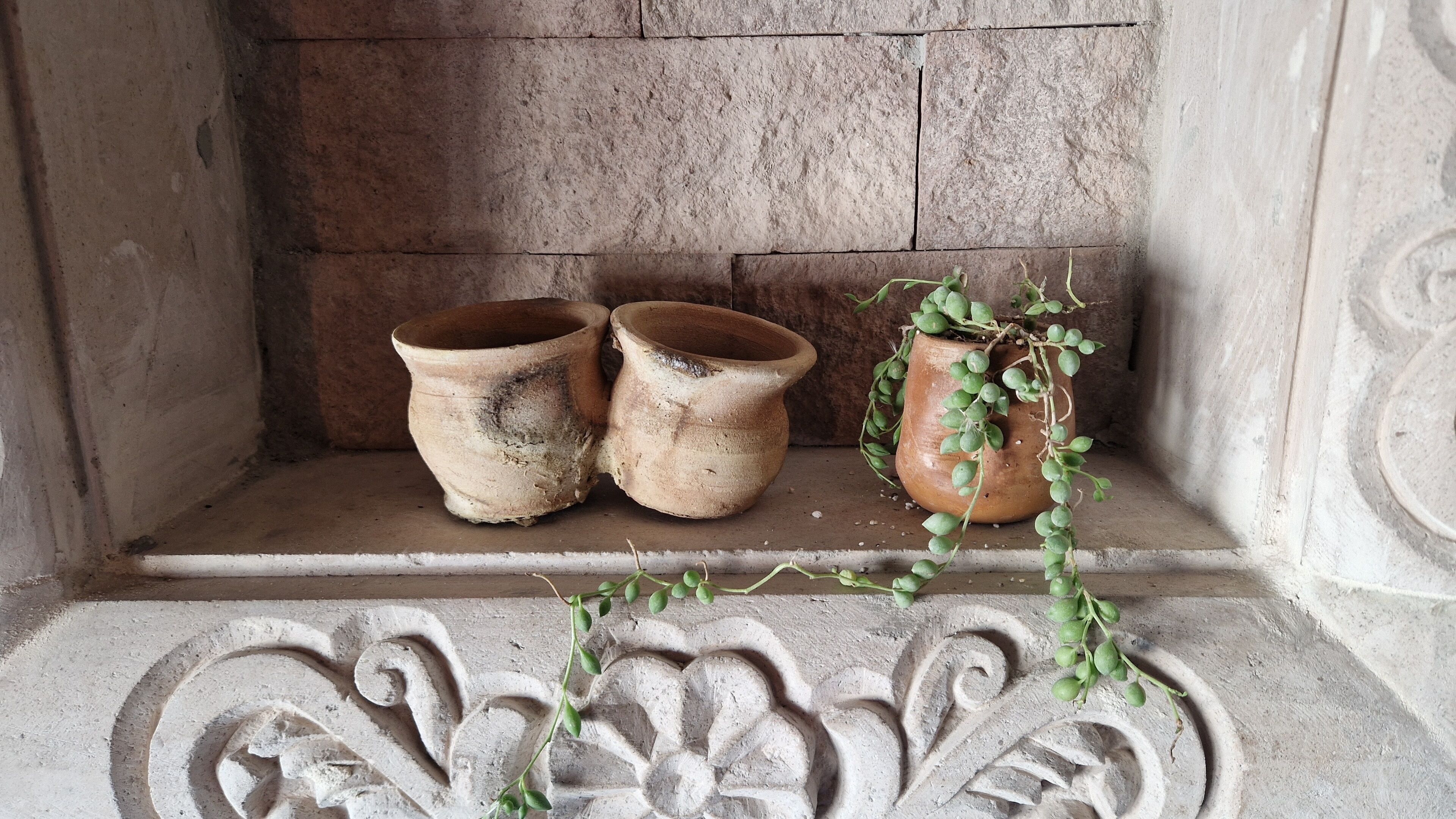 Due vasi in terracotta e una pianta in vaso su una mensola di pietra.