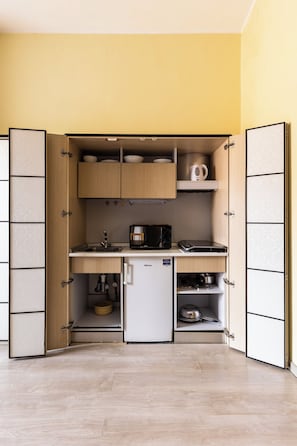 Standard Apartment, 1 Queen Bed with Sofa bed | Private kitchen