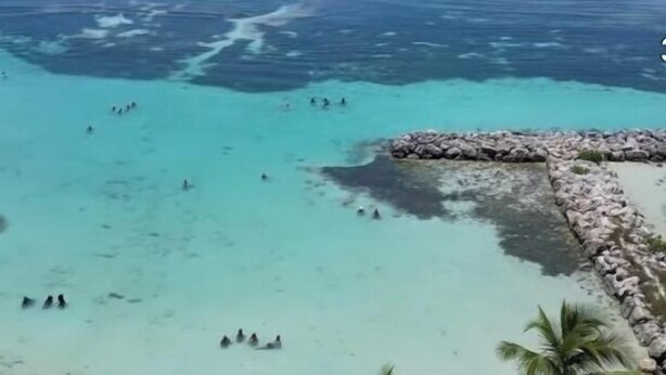 Una playa con agua turquesa cristalina, palmeras y un rompeolas rocoso.