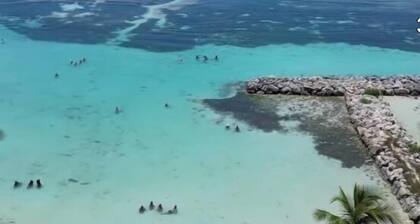 Charmant studio meublé COEUR de MER à 2 pas de la plage de Ste Anne