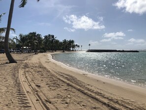 Playa