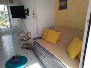 TV, books