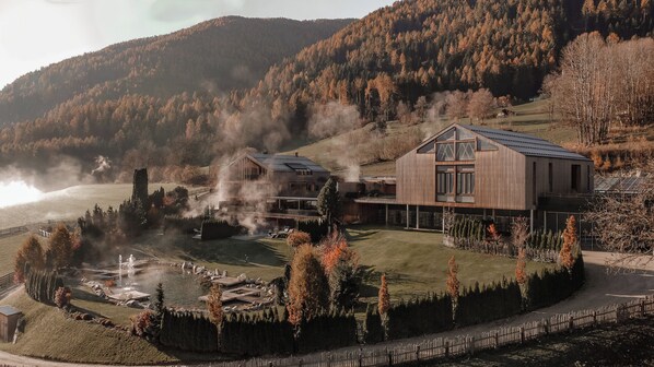 Escape to a serene mountain retreat with a cozy cabin surrounded by lush gardens and a tranquil forest.