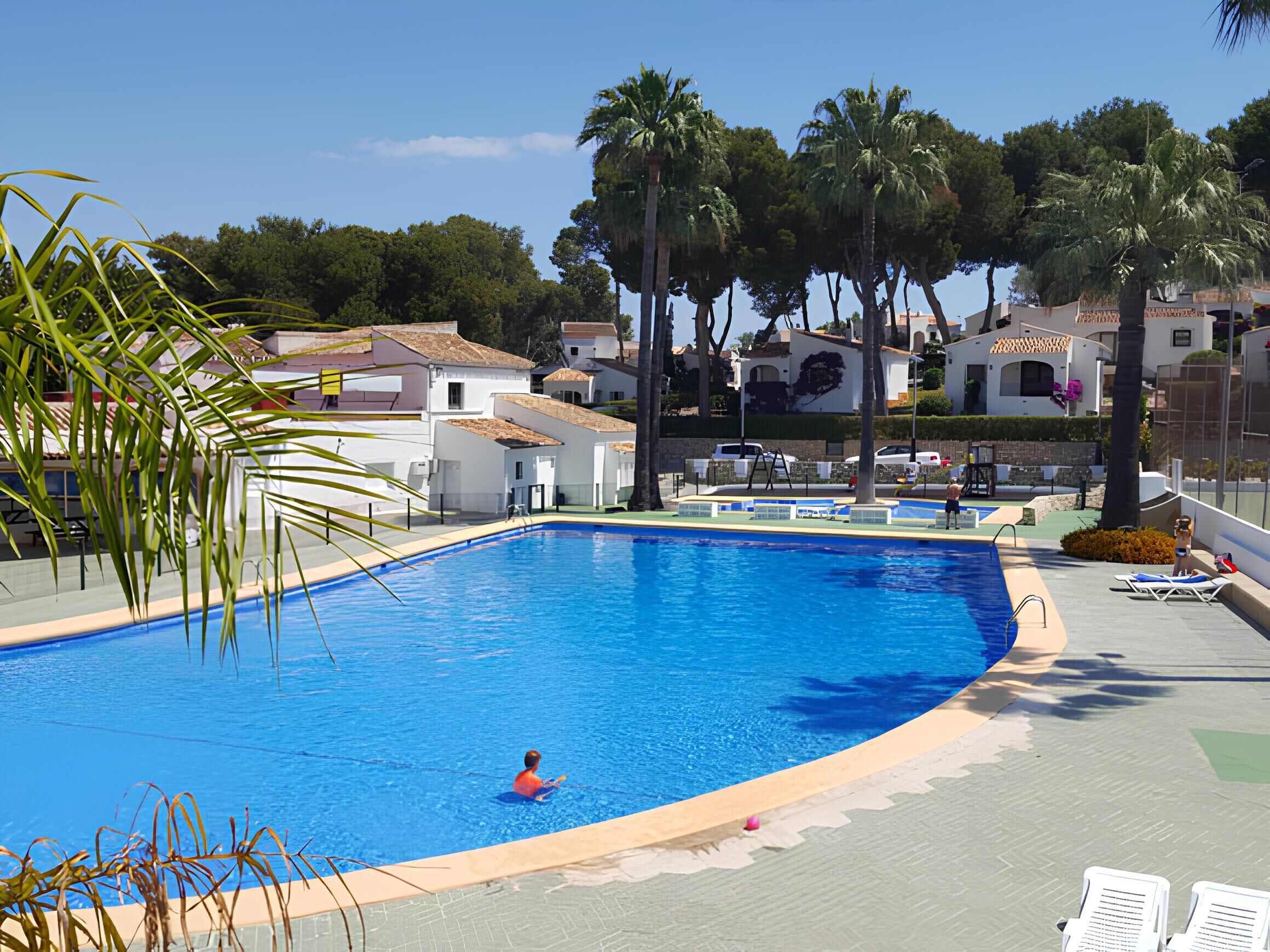 Una piscina grande con una persona nadando, rodeada de palmeras y una fila de sillas de playa.