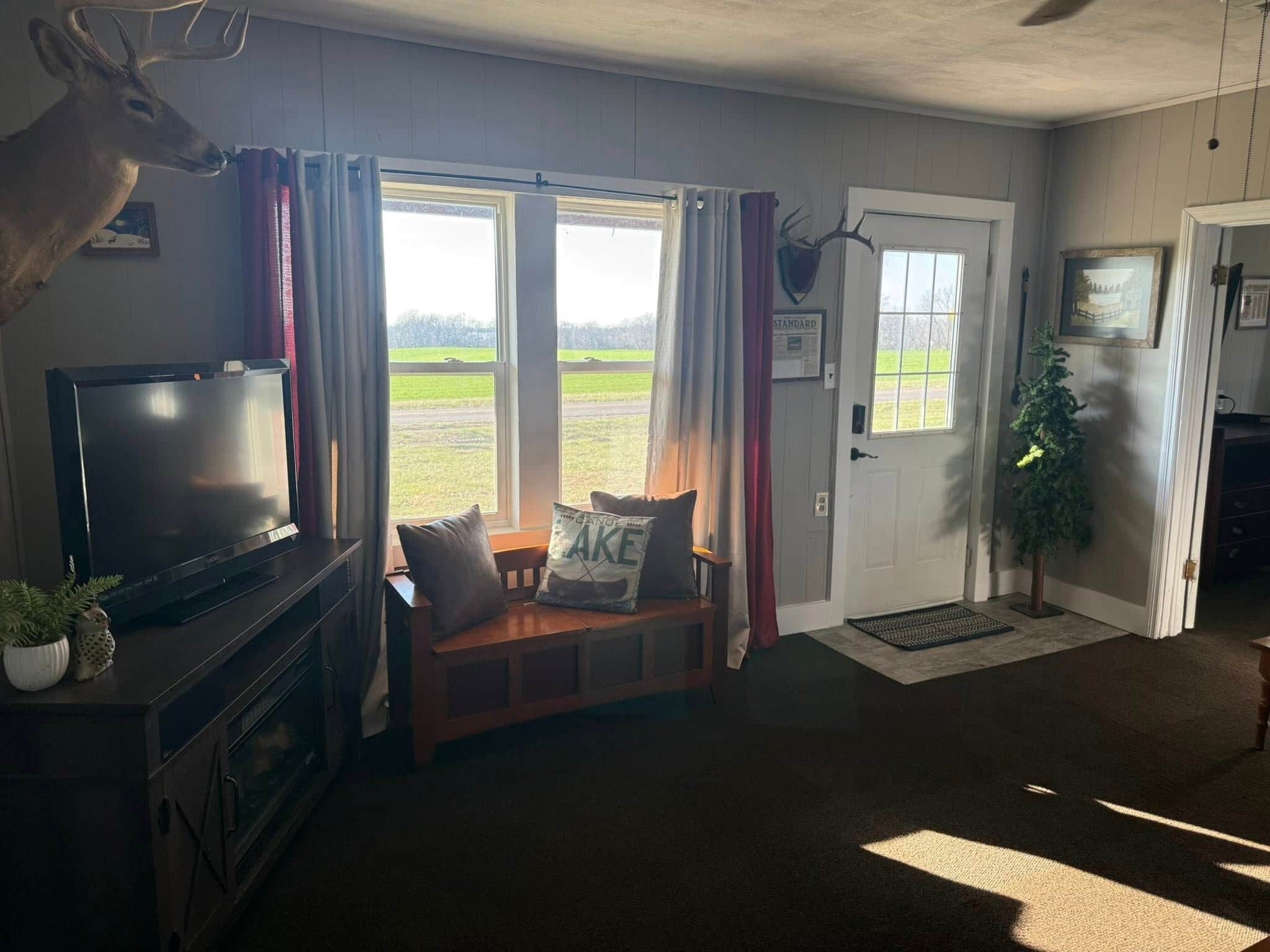 Smart TV, fireplace, DVD player, books