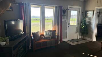 Smart TV, fireplace, DVD player, books