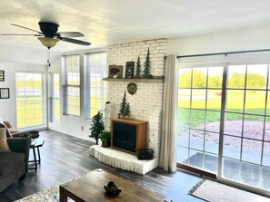 Smart TV, fireplace, DVD player, books